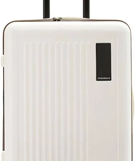 The Transit Luggage Check-in